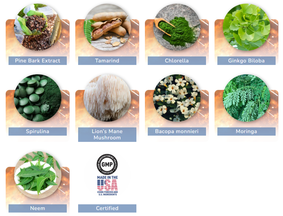 pineal guardian x ingredients